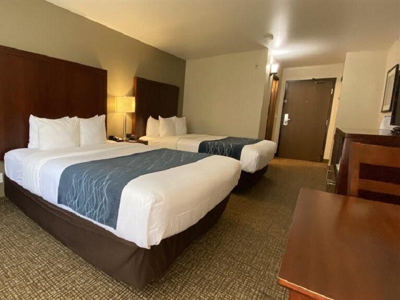 Comfort Inn Lacey - Olympia Exterior photo
