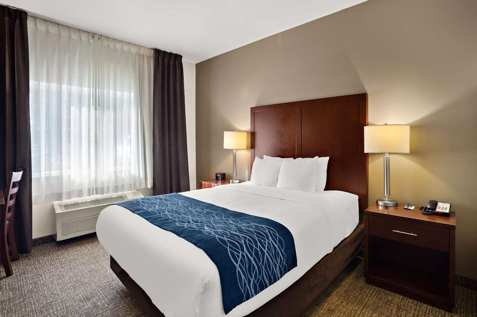 Comfort Inn Lacey - Olympia Exterior photo